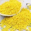 Baking Paint Glass Seed Beads SEED-S042-05B-81-1