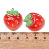 Fruit Theme Opaque Resin Imitation Food Cabochons RE-CBA49A8-03-3