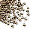 Transparent Stripe Glass Seed Beads GLAA-NH0001-06E-1
