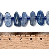 Natural Kyanite Beads Strands G-L649-A01-01-5