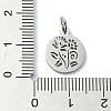 Non-Tarnish 304 Stainless Steel Charms STAS-C097-46P-06-3