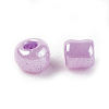 DIY Craft Beads 6/0 Ceylon Round Glass Seed Beads X-SEED-A011-4mm-155-3