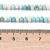 Natural Howlite Beads Strands G-H025-03D-09-5