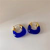 Retro Alloy Resin U-Shaped Hoop Earrings FS-WG1DDE7-03-1