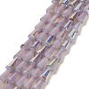 Baking Paint Glass Beads Strands DGLA-D001-03H-1