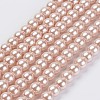 Eco-Friendly Dyed Glass Pearl Beads Strands LS-HY-A008-6mm-RB092-1