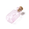 Rectangle Miniature Glass Bottles GLAA-H019-06G-2