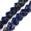 Natural Sodalite Beads Strands G-T138-41-4