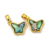 Rack Plating Brass Pave Natural Paua Shell Butterfly Charms KK-U025-01G-02-1
