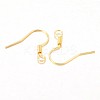 Iron Earring Hooks E133-G-1