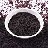 MIYUKI Round Rocailles Beads SEED-JP0010-RR2402-2