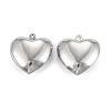 Non-Tarnish 316 Surgical Stainless Steel Pendants LS-STAS-C026-15A-P-2
