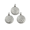 304 Stainless Steel Charms STAS-M017-13P-1