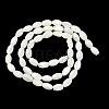 Natural Trochus Shell Beads Strands BSHE-E030-02A-3