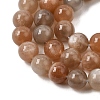 Natural Grey Moonstone Beads Strands G-F632-24-02-01-8