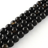 Natural Black Onyx Round Bead Strands G-R198-14mm-1
