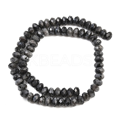 Natural Larvikite Beads Strands G-C259-A45-5x8mm-1