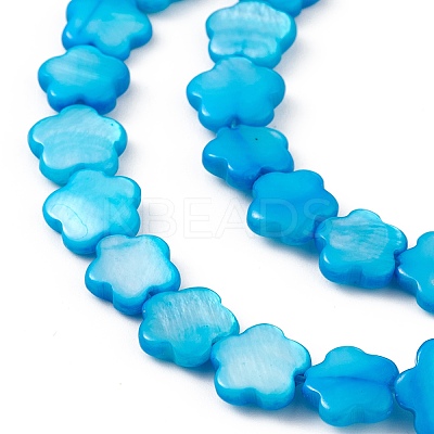 Natural Freshwater Shell Dyed Beads Strands SHEL-K001-001F-1