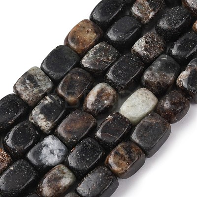 Natural Biotite Beads Strands G-D098-D15-1