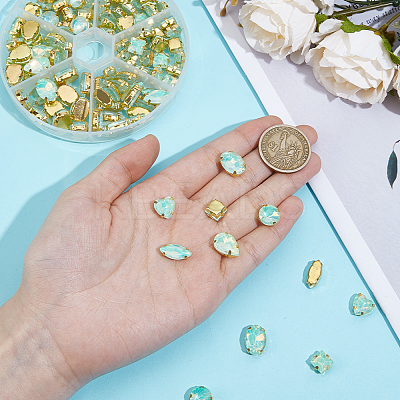 106pcs 6 Style Sew On Rhinestone FIND-OC0004-09D-1