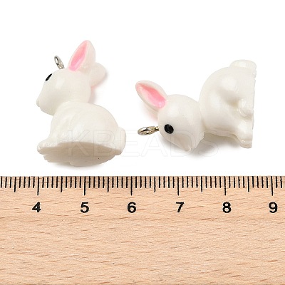 Resin Pendants X-RESI-S356-53-1