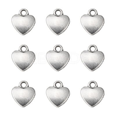 Tibetan Style Alloy Charms X-LF1170Y-1