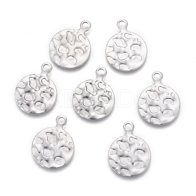 Non-Tarnish 304 Stainless Steel Charms STAS-F249-48P-1