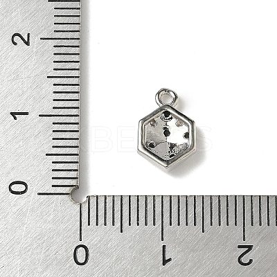 Brass Micro Pave Cubic Zirconia Charms KK-I276-39P-1
