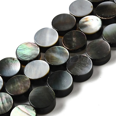 Natural Black Lip Shell Beads Strands BSHE-D300-05-10mm-1