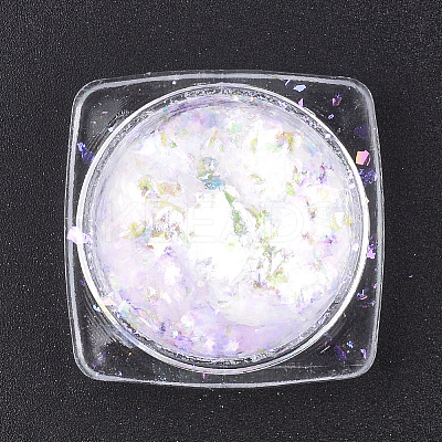 Holographic Chunky Glitter Nail Art Pigment Dust MRMJ-S015-009A-1