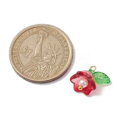 Mixed Color Glass Pearl & Acrylic Charms PALLOY-JF02567-02-1