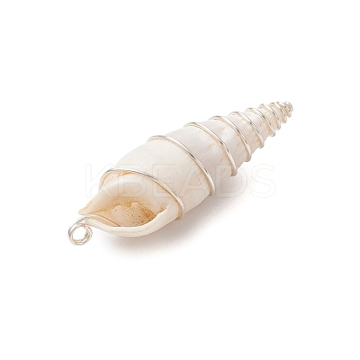 Copper Wire Wrapped Natural Spiral Shell Big Pendants PALLOY-JF03397-01-1