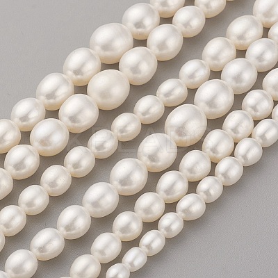 Natural Cultured Freshwater Pearl Graduated Beads Strands PEAR-G007-05A-1