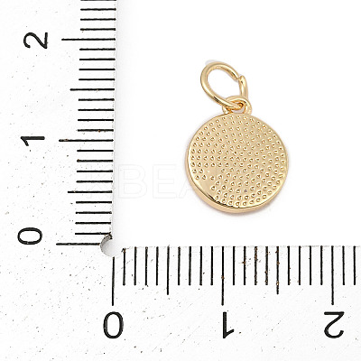 Brass with Enamel Charms LS-KK-Q096-16B-G-1