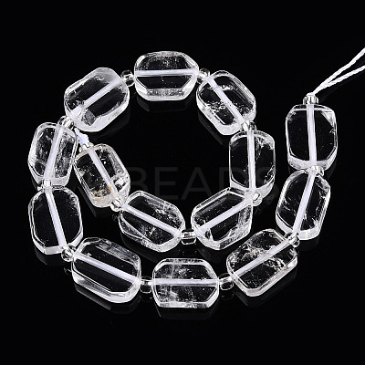 Natural Quartz Crystal Beads Strands G-C098-A20-01-1