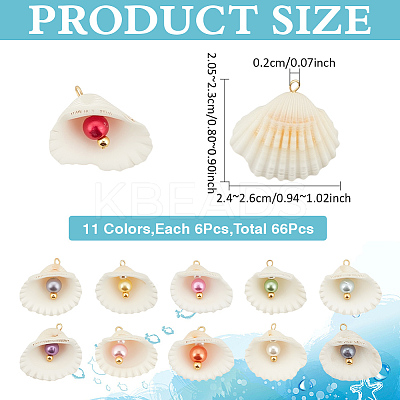 66Pcs 11 Styles Natural Shell Big Pendants PALLOY-MA00002-1