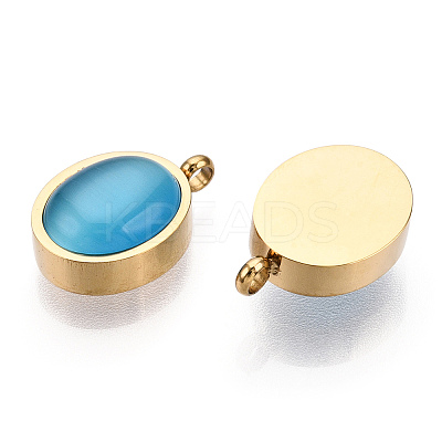 304 Stainless Steel Pendants STAS-T064-15G-1