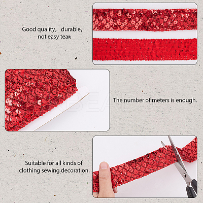 Polyester with PT Paillette Lace Trim Ribbon OCOR-WH20073-01A-1