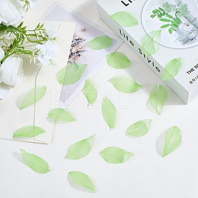 100Pcs Dried Flower Leaf Craft Supplies AJEW-CP0009-41A-1