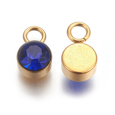 Glass Rhinestone Charms X-STAS-F189-B06-1
