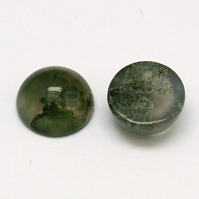 Natural Moss Agate Cabochons G-P393-R28-12mm-1