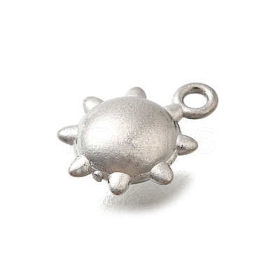304 Stainless Steel Charms LS-STAS-D310-06P-01-1