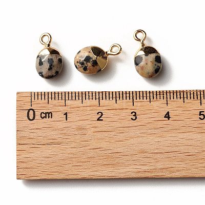 Electroplate Natural Dalmatian Jasper Charms G-S344-09C-1
