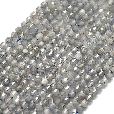 Natural Labradorite Beads Strands G-A260-A44-01A-1
