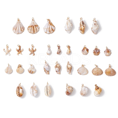 30Pcs 10 Styles Acrylic Pendants PALLOY-JF03989-02-1