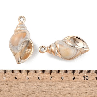 Plating Acrylic Pendants OACR-F012-06G-1