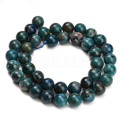 Natural Chrysocolla Beads Strands G-G475-A03-10mm-1
