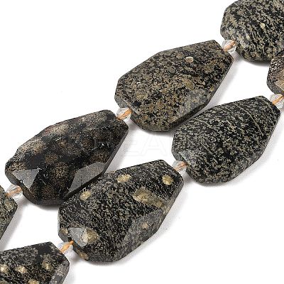 Natural Snowflake Obsidian Beads Strands G-P548-B20-01-1