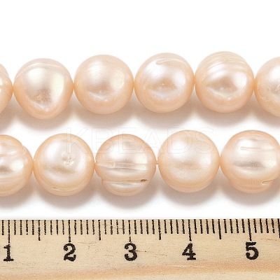 Natural Cultured Freshwater Pearl Beads Strands PEAR-C003-21D-1