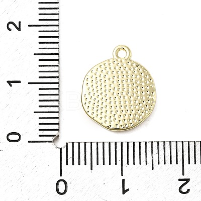 Alloy Enamel Charms PALLOY-K020-19LG-02-1
